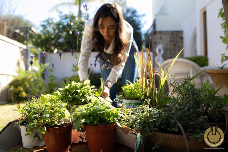 maya_elhalal_longevity_healthspan