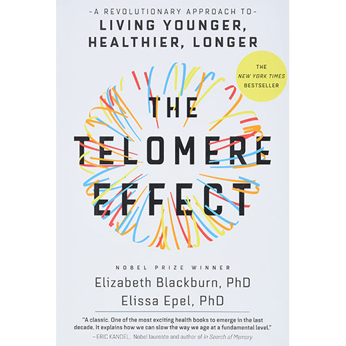 the telomere effect